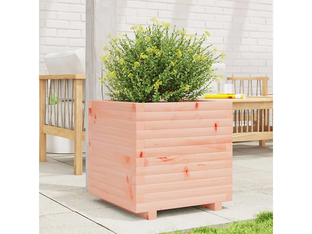 Pflanzkübel 50x50x49,5 cm Massivholz Douglasie