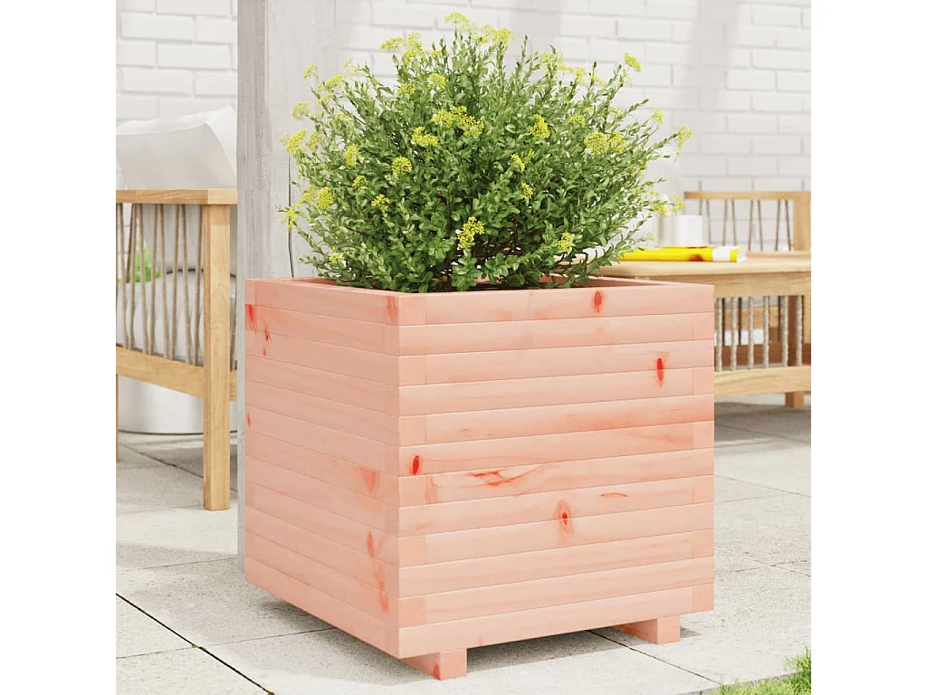 Pflanzkübel 50x50x49,5 cm Massivholz Douglasie