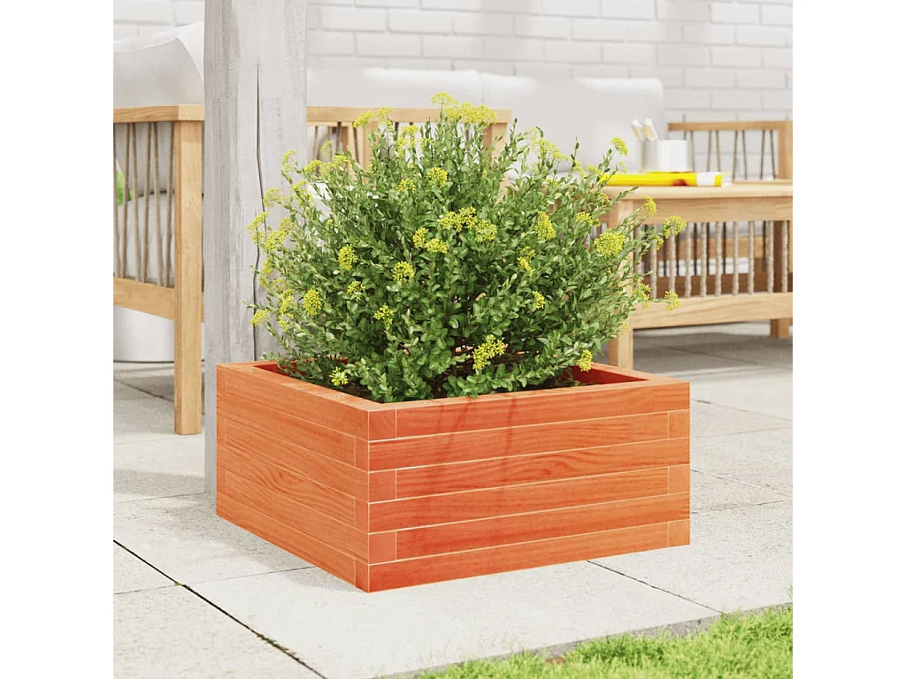 Jardinière cire marron 50x50x23 cm bois de pin massif