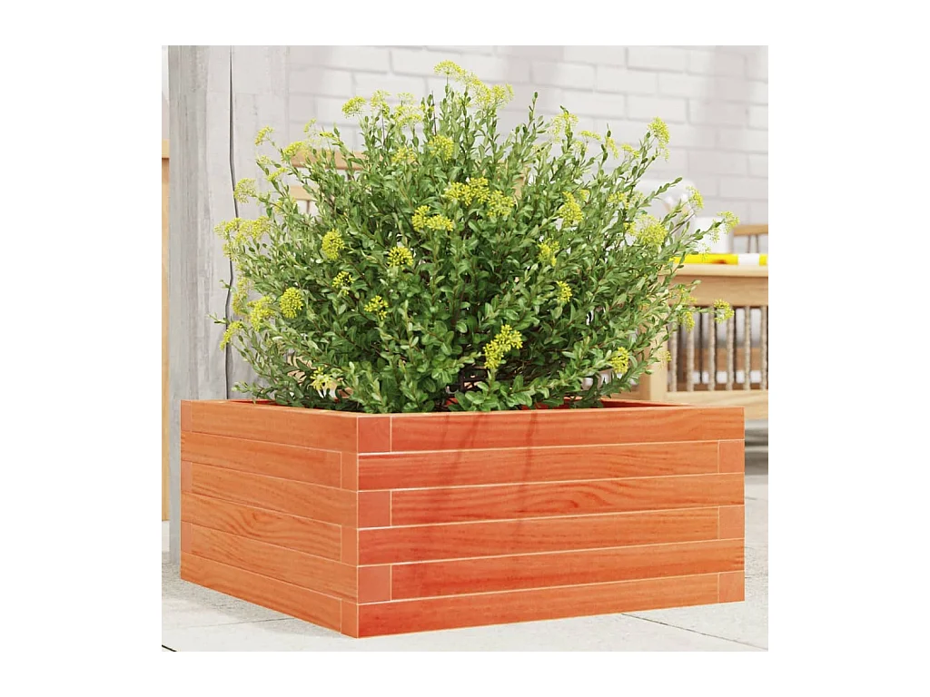 Fioriera Giardino Marrone Cera 50x50x23 cm Legno Massello Pino
