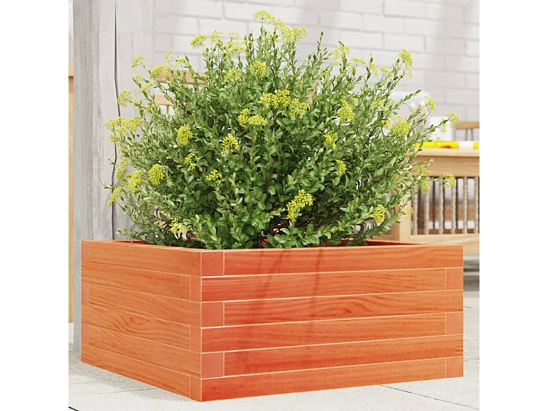 Jardinière cire marron 50x50x23 cm bois de pin massif