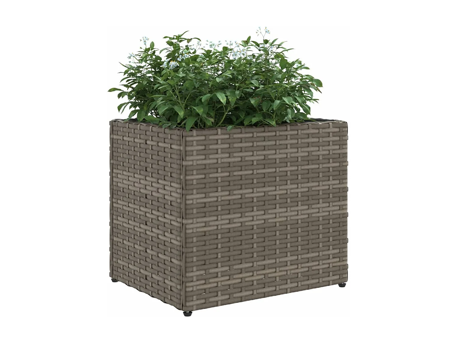 Fioriere da Giardino 2 pz Grigie 36x30x32 cm in Polyrattan