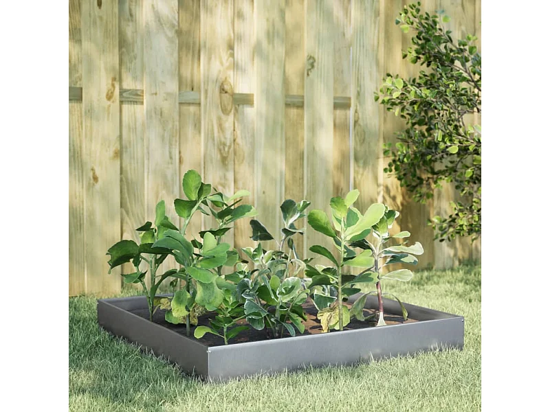 Lit surélevé de jardin 100x100x26 cm acier inoxydable