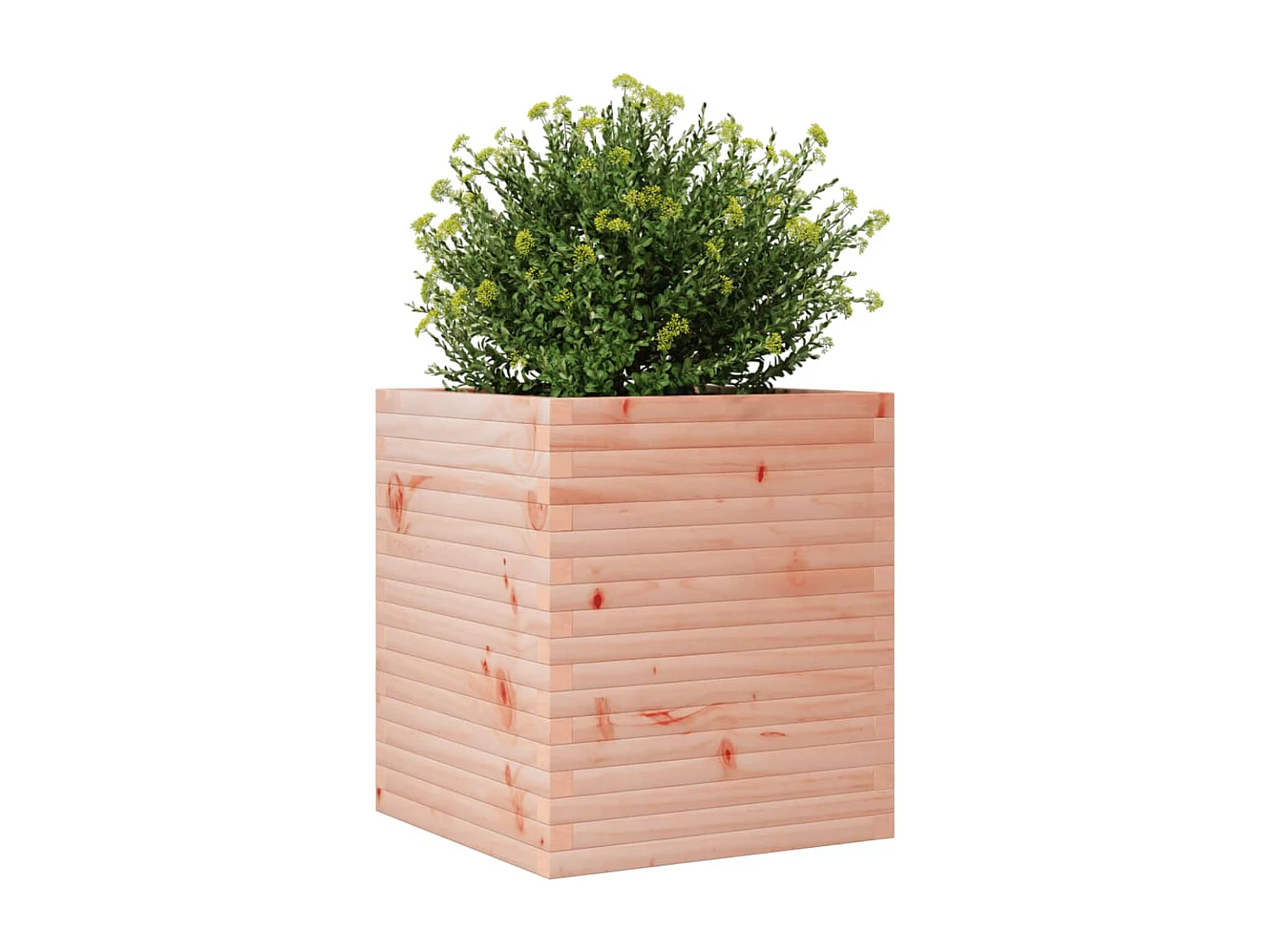 Fioriera da Giardino 60x60x68,5 cm in Legno Massello di Douglas