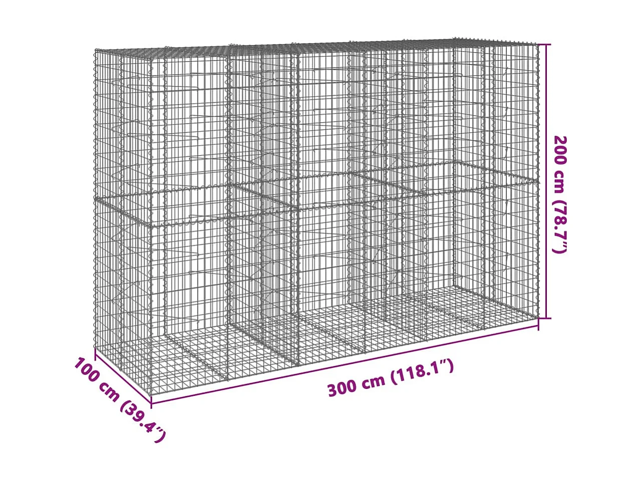 Gabione mit Deckel 300x100x200 cm Verzinktes Eisen