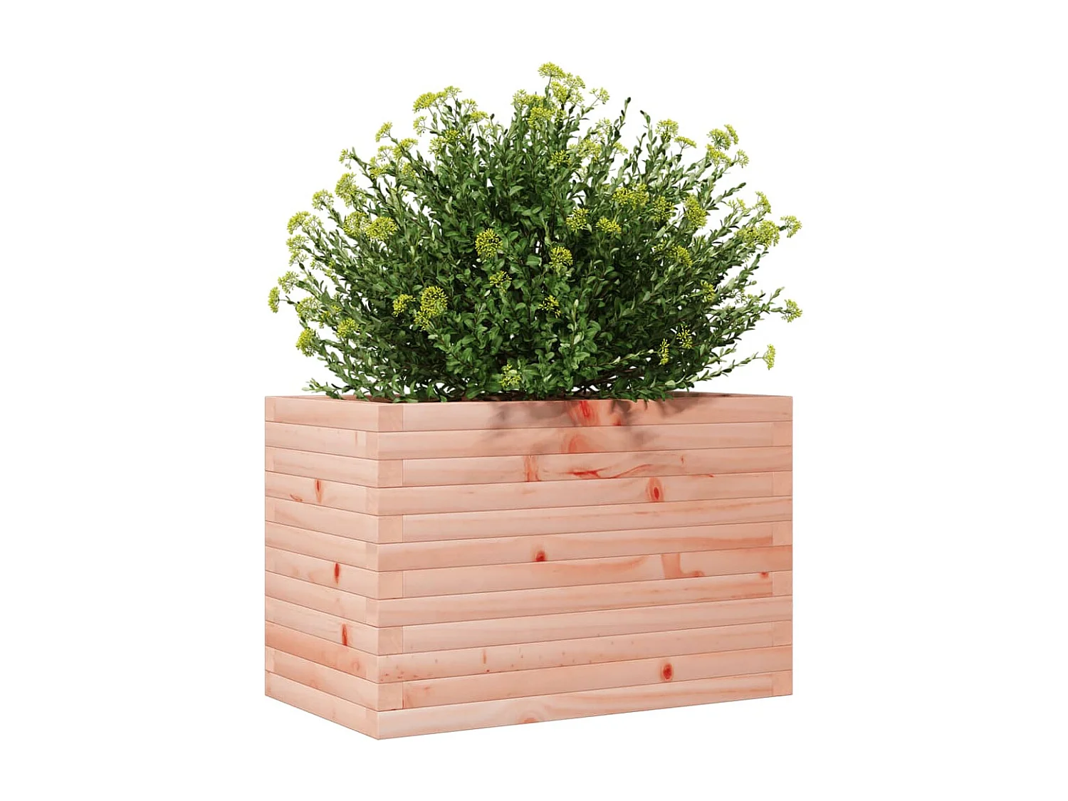 Jardinière 70x40x45,5 cm bois massif douglas