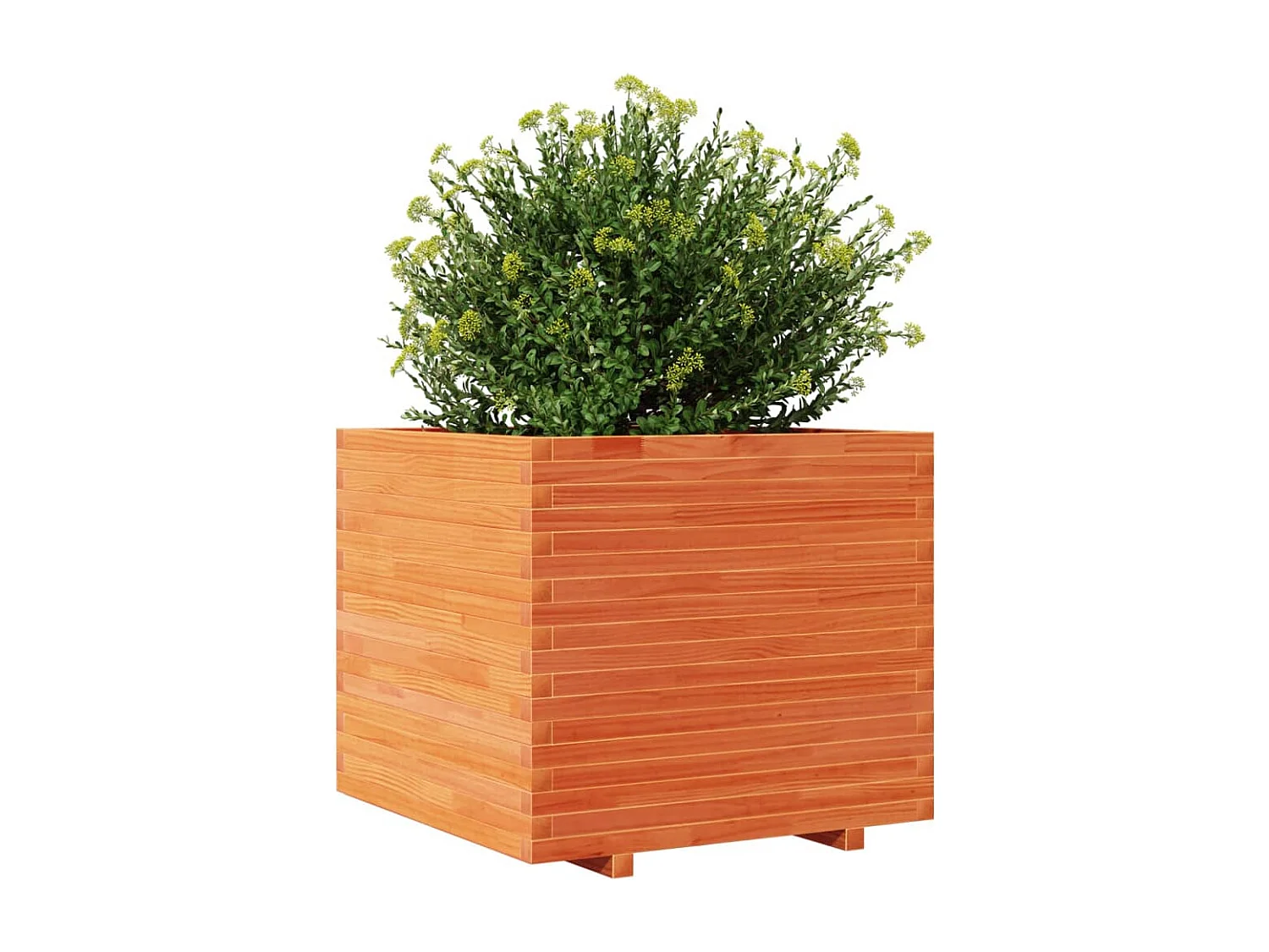 Vaso/floreira de jardim 80x80x72 cm pinho maciço castanho mel