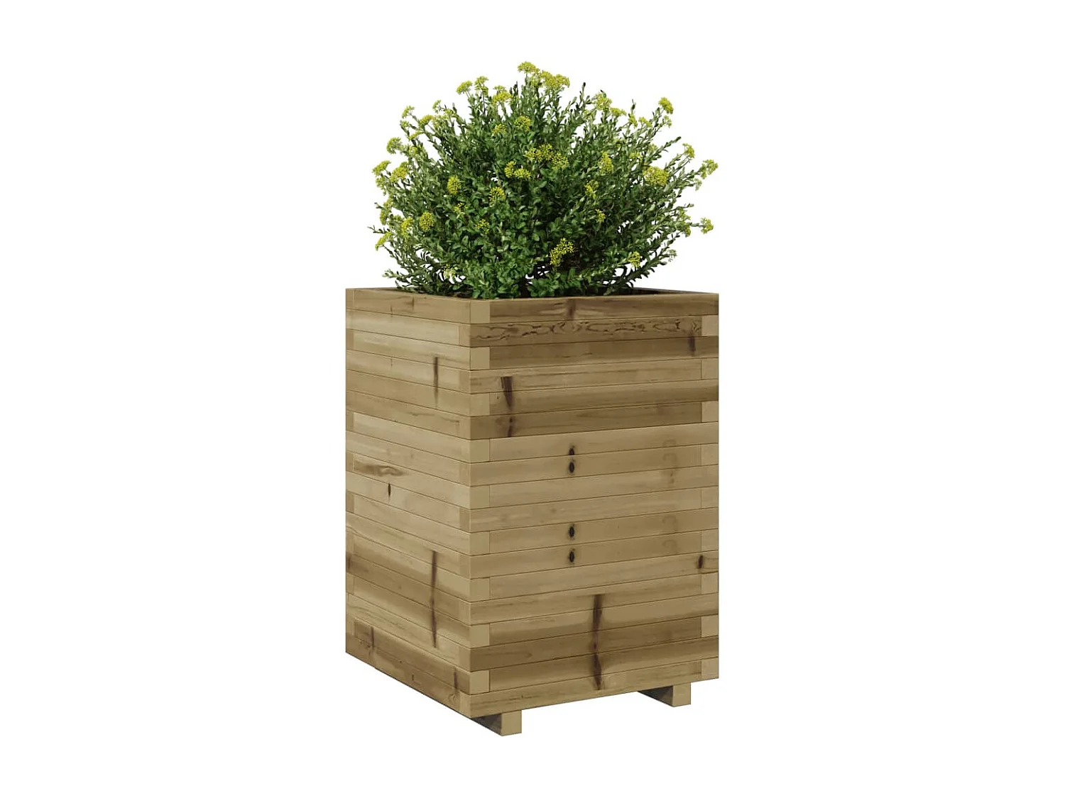 Jardinière 50x50x72,5 cm bois de pin imprégné