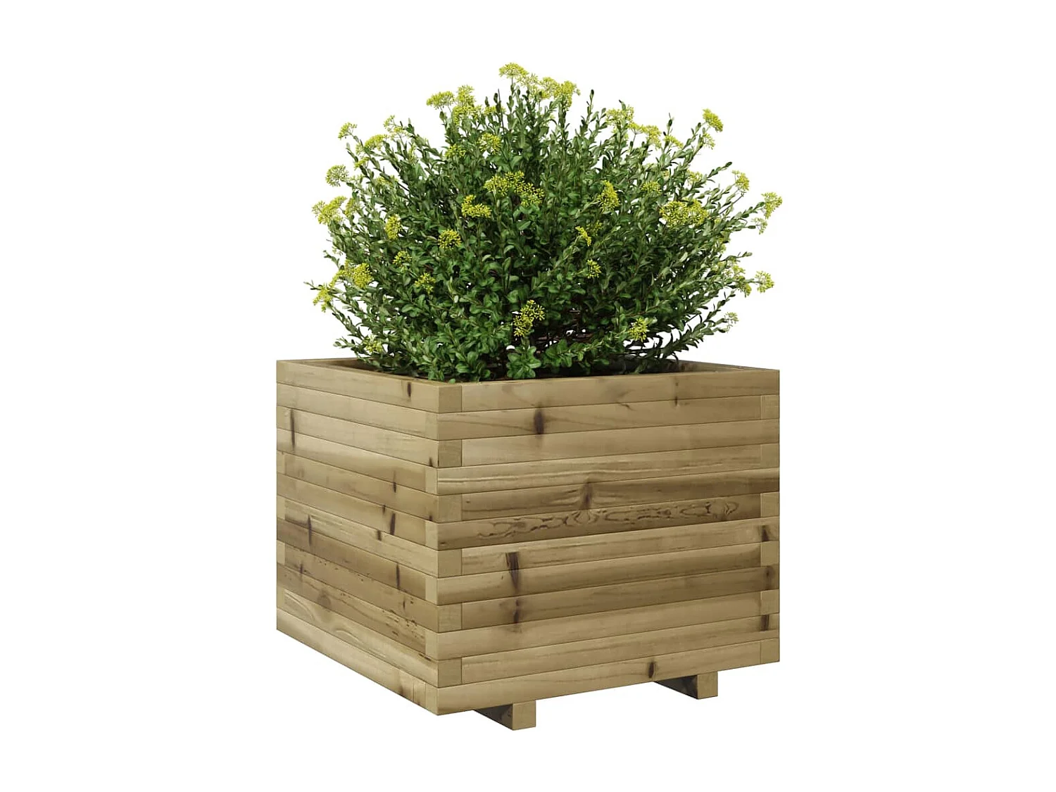 Fioriera da Giardino 60x60x49,5 cm in Legno di Pino Impregnato
