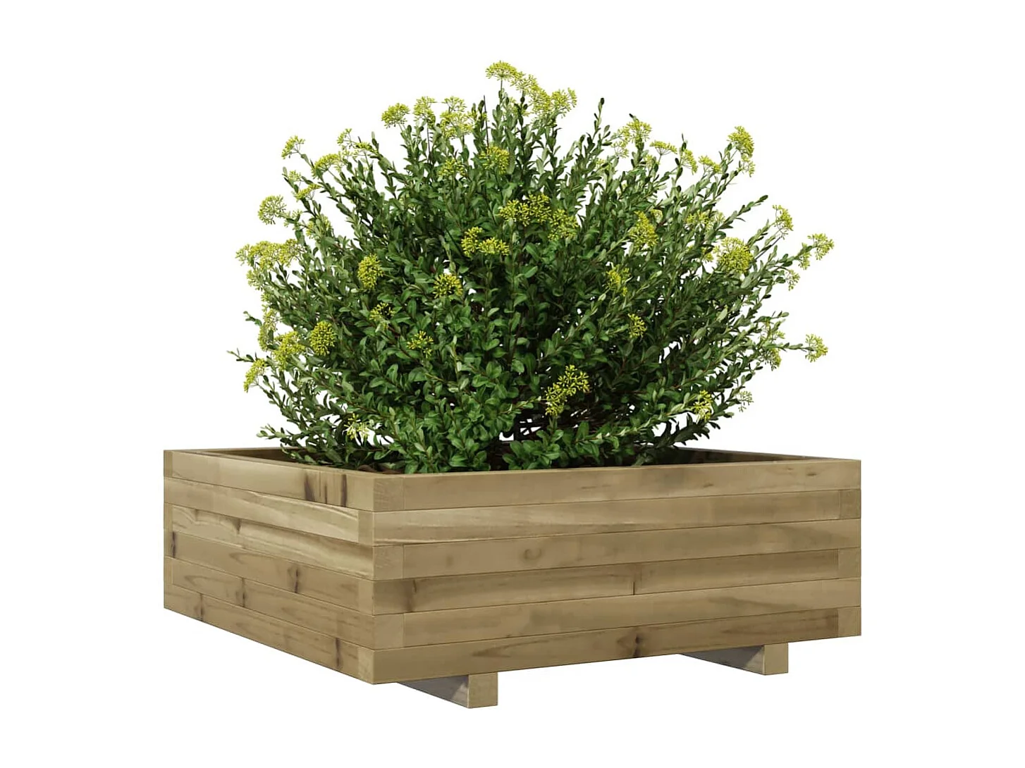 Pflanzkübel 70x70x26,5 cm Kiefernholz Imprägniert