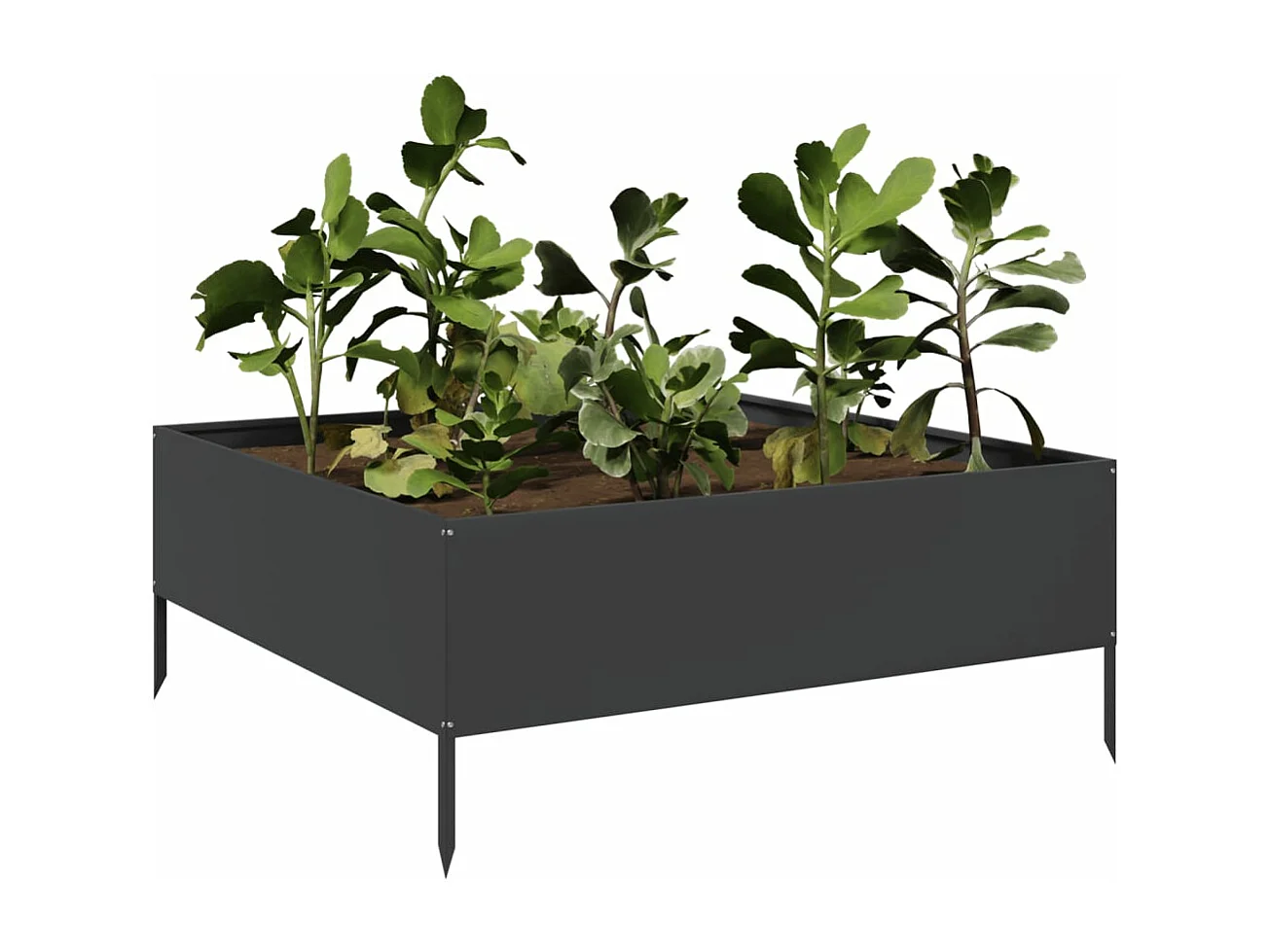 Fioriera Rialzata da Giardino Nera 100x100x25 cm in Acciaio