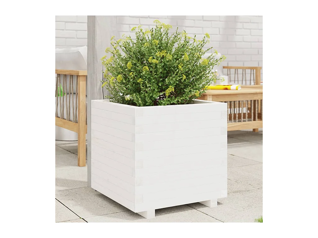 Jardinière blanc 50x50x49,5 cm bois de pin massif