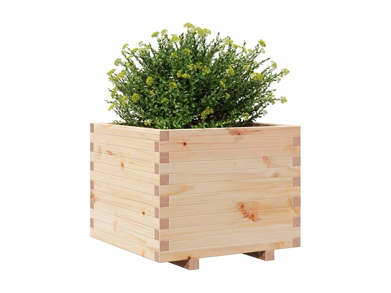 Jardinière 60x60x49,5 cm bois de pin massif