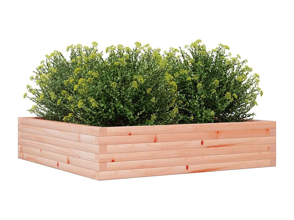 Pflanzkübel 100x100x23 cm Massivholz Douglasie