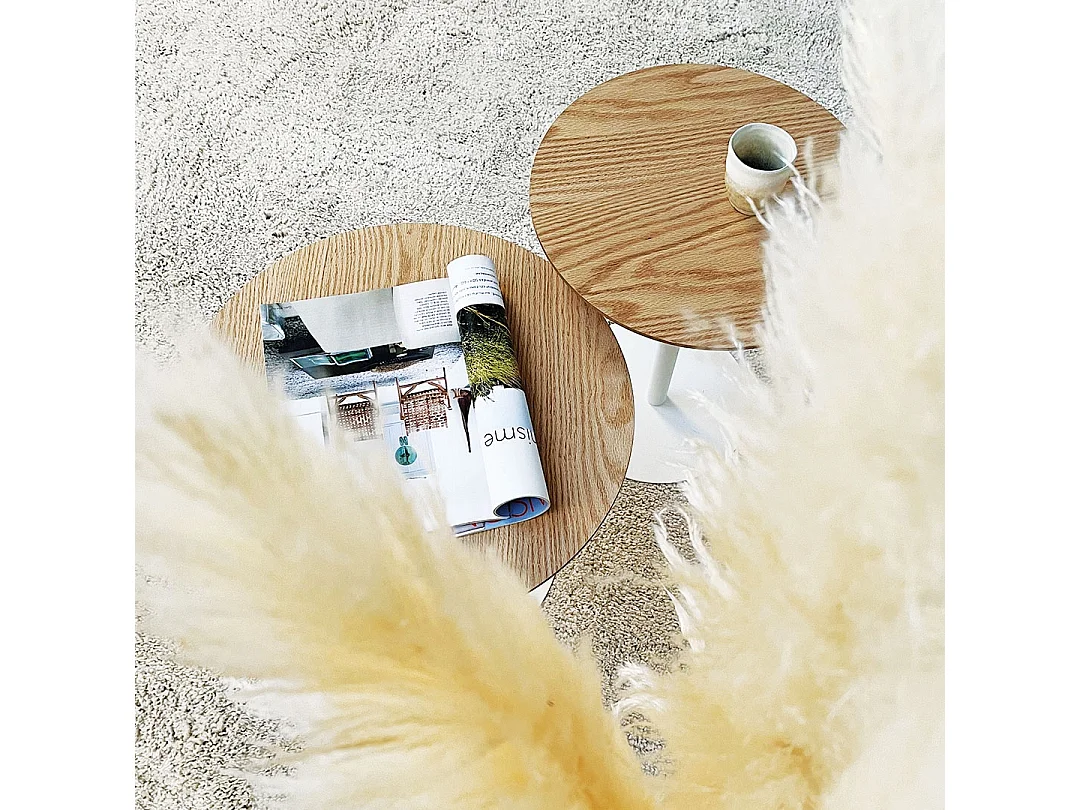 Table Basse Design "Rhoda" 48cm Naturel & Blanc