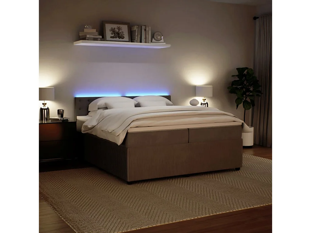 Cama com molas/colchão 200x200 cm veludo cinzento-claro