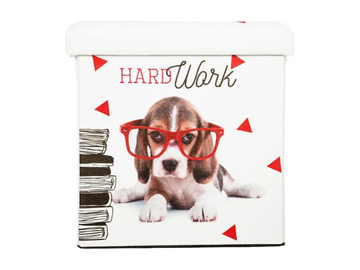 Pouf Coffre Pliable "Urban Cat" 38cm Gris