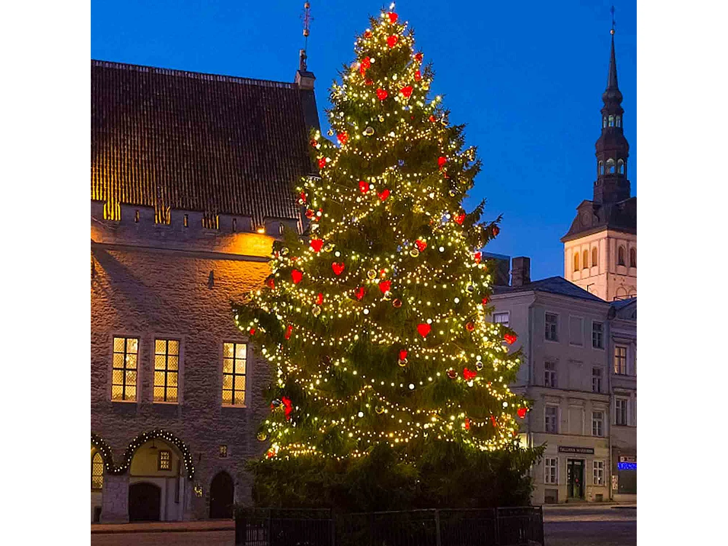 Luces Navidad color blanco cálido, guirnalda luces exterior 1000 LED