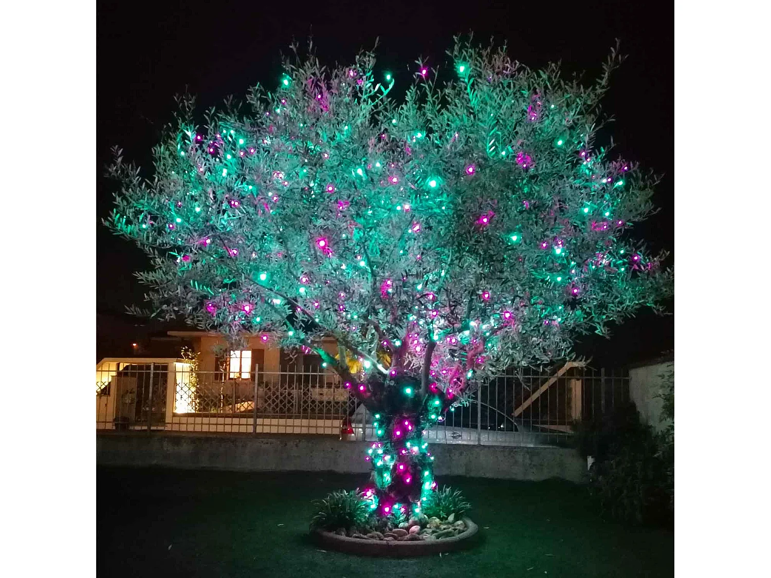 Luci di Natale Multicolor, catena luminosa per esterno 500 LED