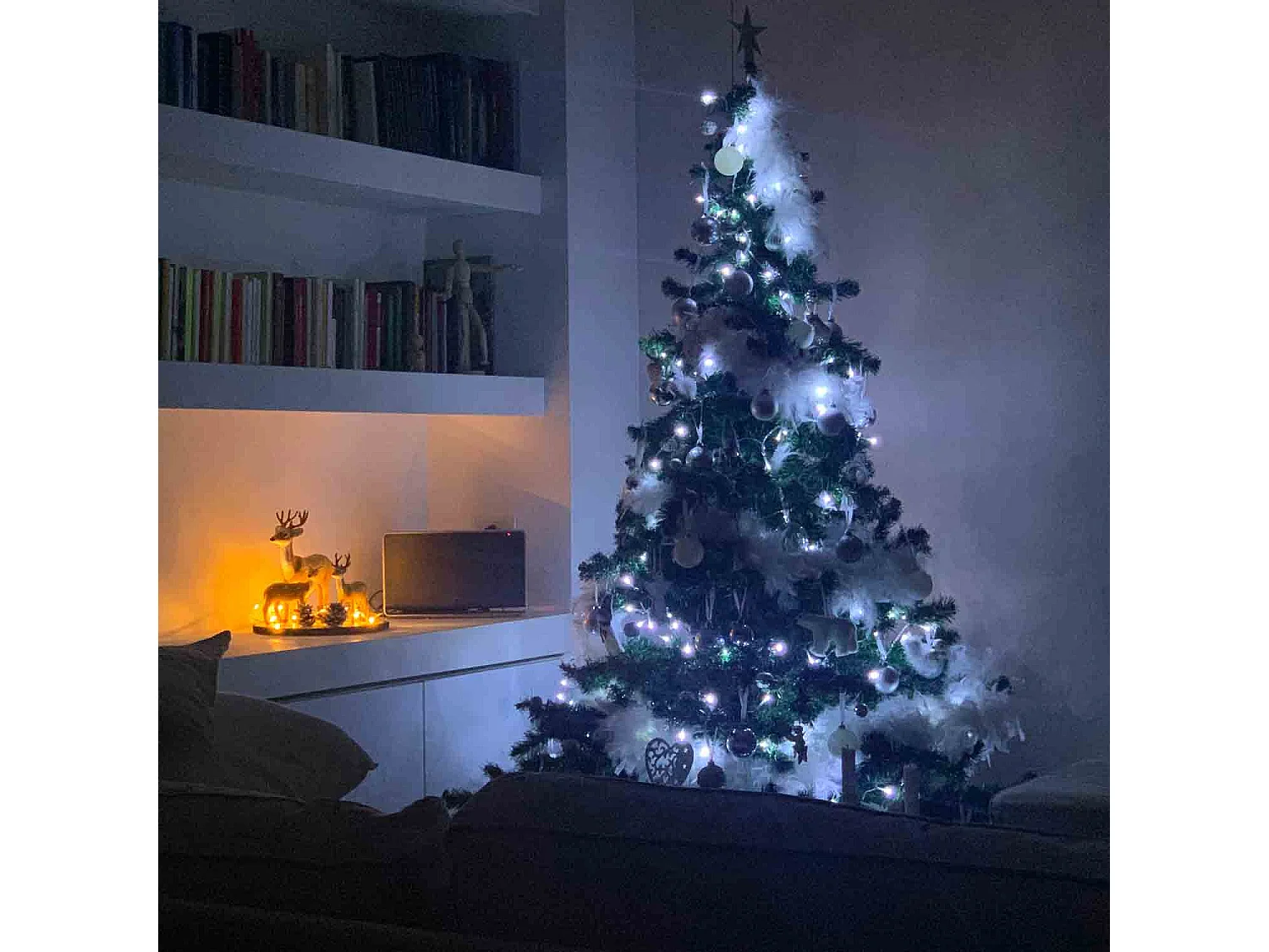 Luci di Natale colore bianco, catena luminosa per esterno 100 LED