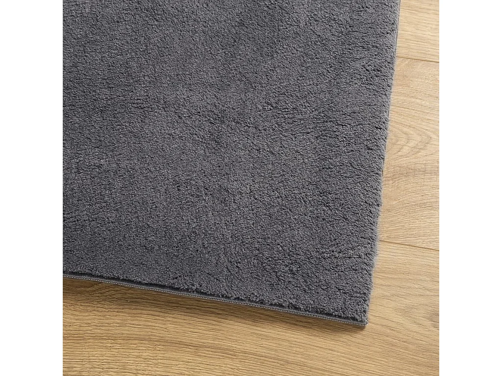 Hester  Tapis HUARTE à poils courts doux lavable anthracite 240x240 cm