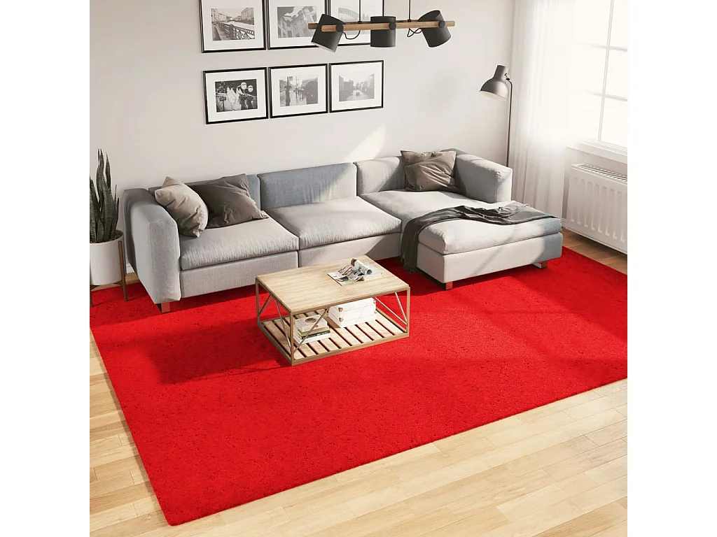 Hester  Vloerkleed HUARTE laagpolig zacht wasbaar 240x340 cm rood