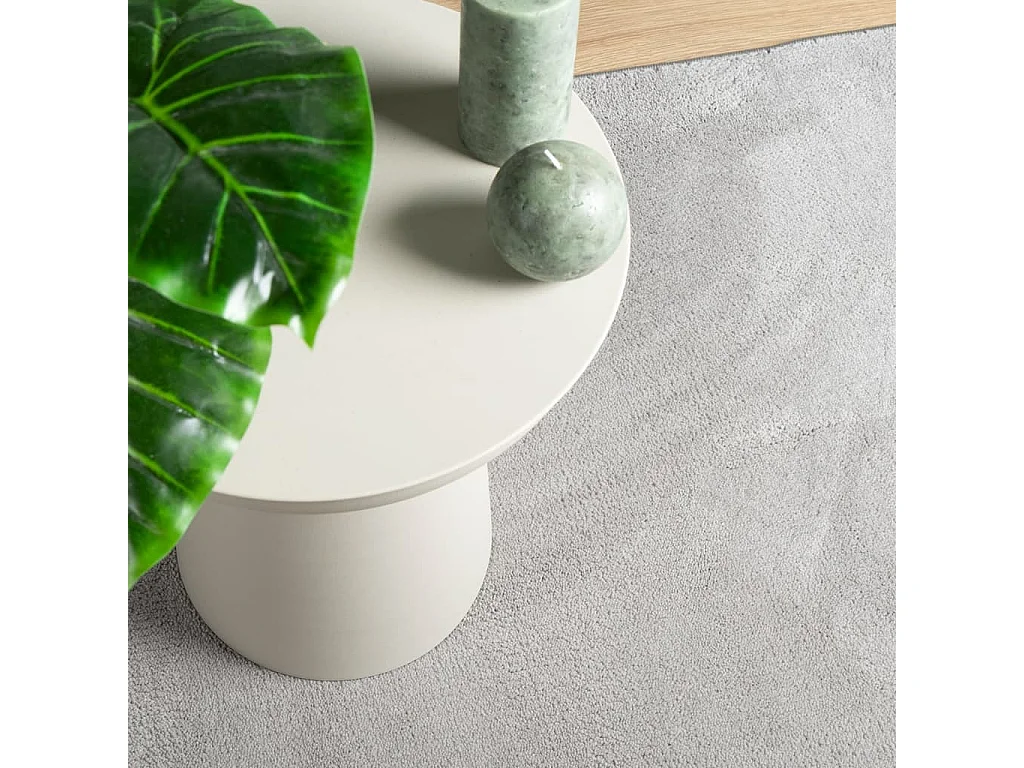 Sinto  Tapis OVIEDO à poils courts gris 120x170 cm