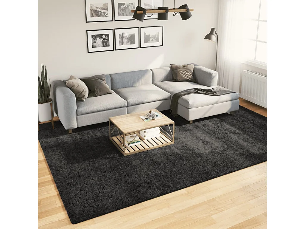 Vito  Tapis shaggy PAMPLONA poils longs moderne anthracite 240x340 cm