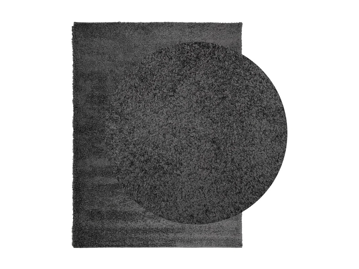 Vito  Tapis shaggy PAMPLONA poils longs moderne anthracite 240x340 cm