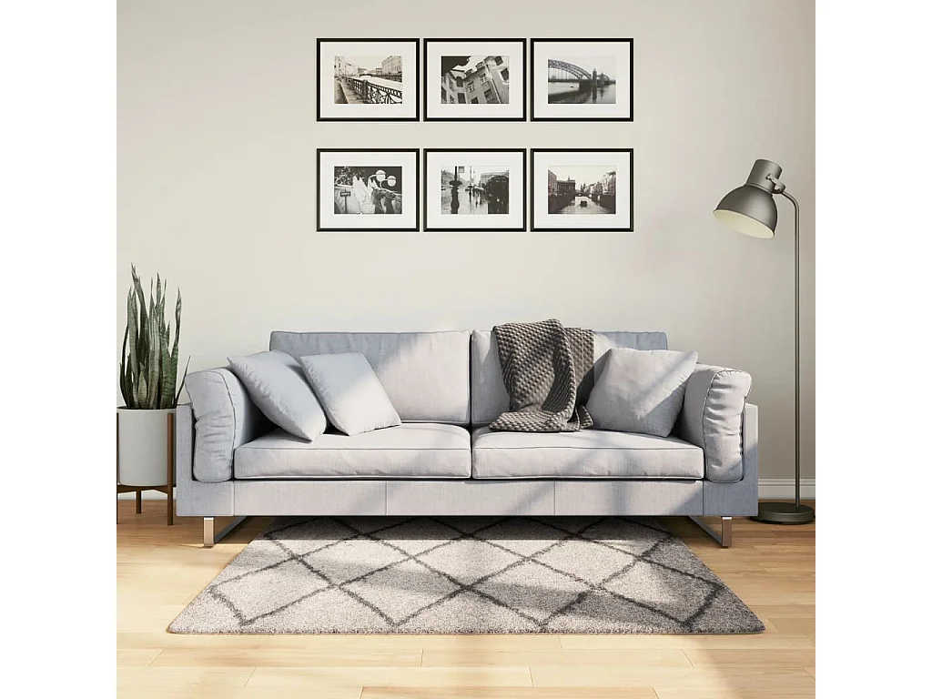 Vito  Shaggy-Teppich Hochflor Modern Beige Anthrazit 120x120 cm