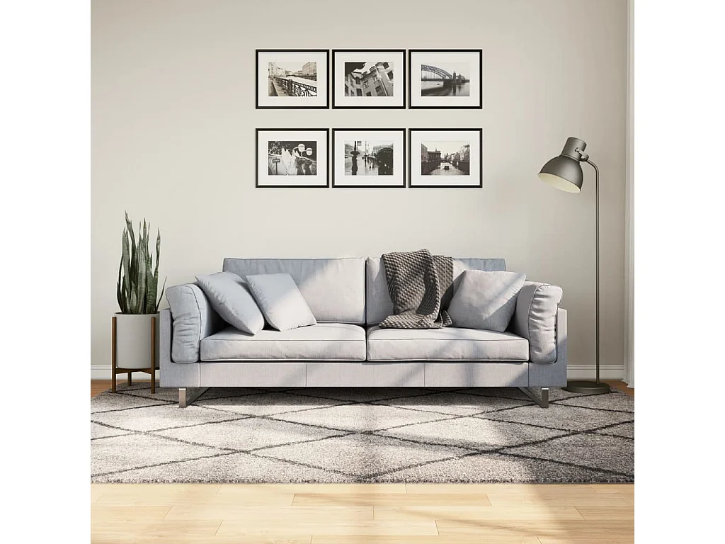 Vito  Tappeto Shaggy PAMPLONA Pelo Lungo Beige e Antracite 160x230 cm