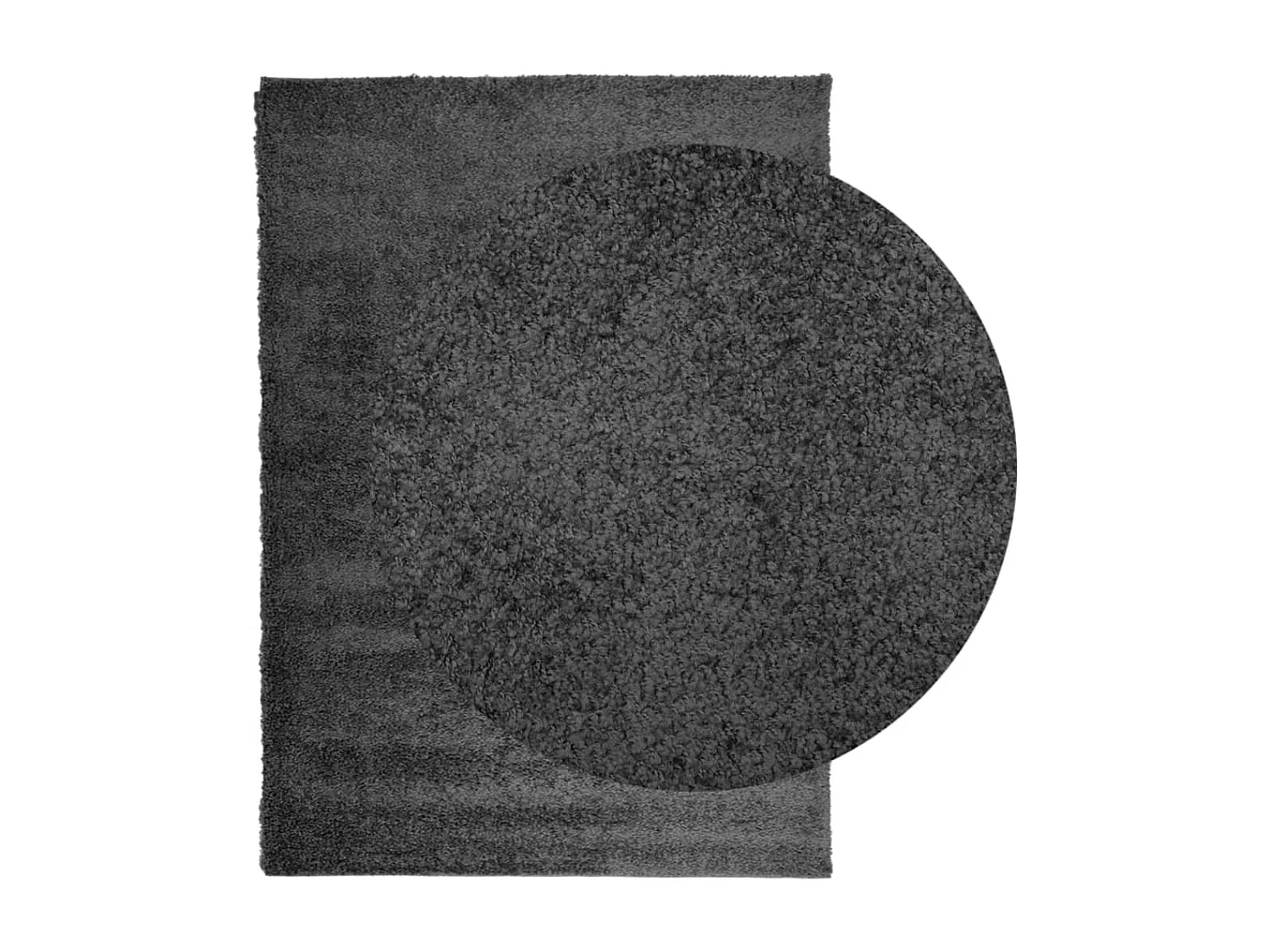 Vito  Tappeto Shaggy PAMPLONA Pelo Lungo Moderno Antracite 200x280cm