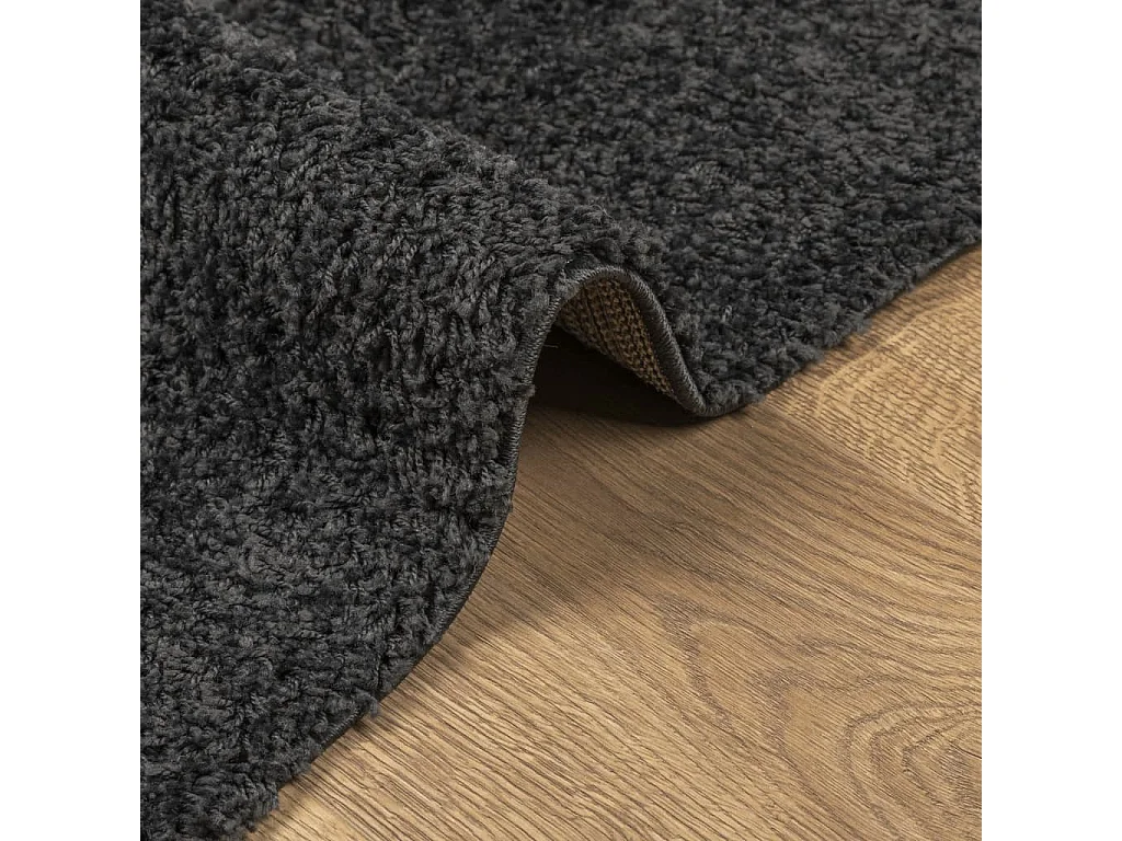 Vito  Tapis shaggy PAMPLONA poils longs moderne anthracite 200x280 cm