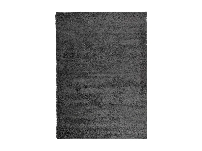 Vito  Teppich Shaggy Hochflor Modern Anthrazit 200x280 cm