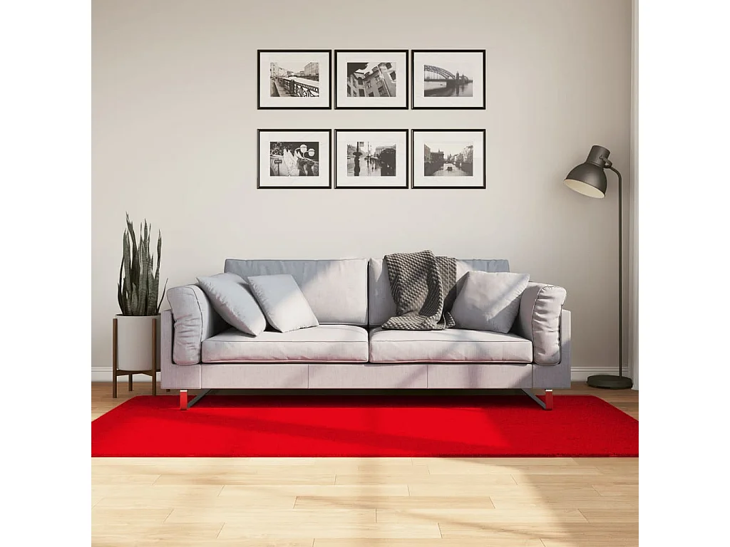 Hester  Vloerkleed HUARTE laagpolig zacht wasbaar 100x200 cm rood