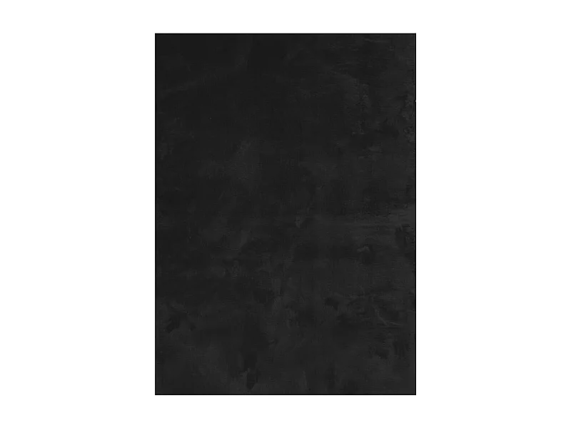 Prolenta Premium -  Tapis HUARTE à poils courts doux et lavable noir 240x340 cm