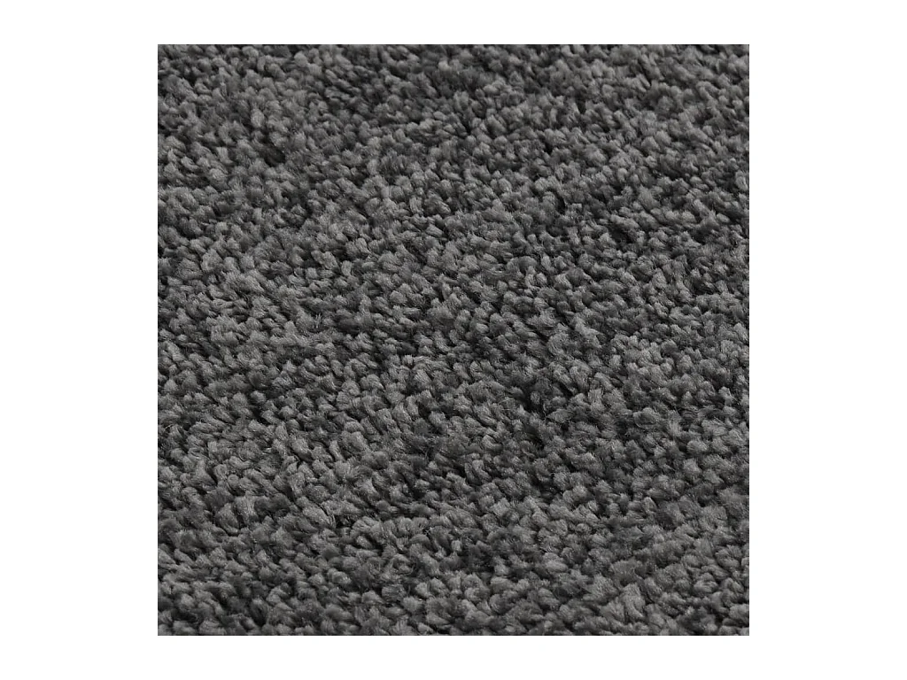 Prolenta Premium -  Tapis shaggy antidérapant Gris 160x230 cm