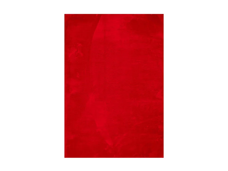 Hester  Teppich HUARTE Kurzflor Weich und Waschbar Rot 120x170 cm