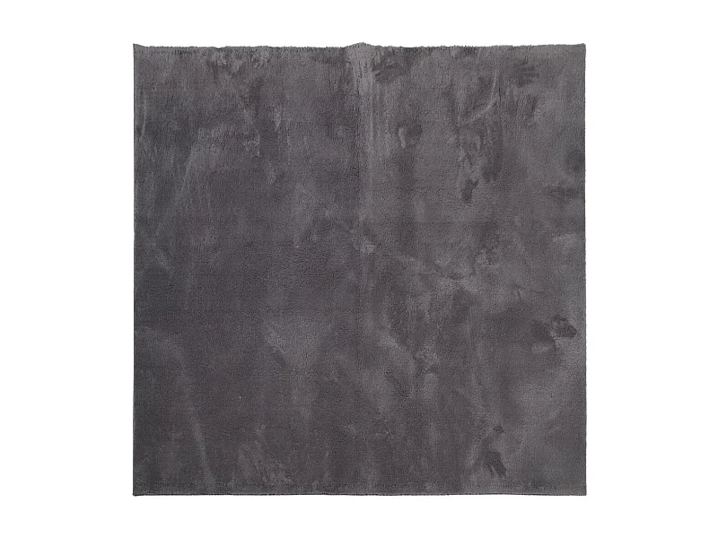 Prolenta Premium -  Tapis HUARTE à poils courts doux lavable anthracite 120x120 cm