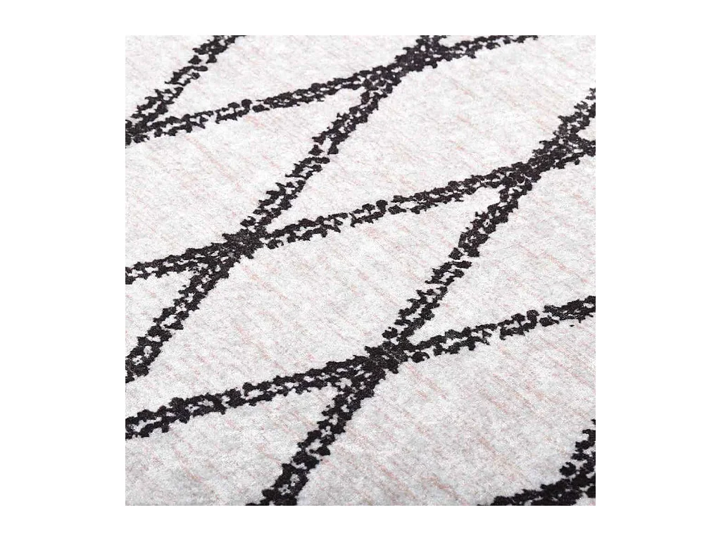 Elsje  Teppich Waschbar Schwarz und Weiß 120x170 cm Rutschfest