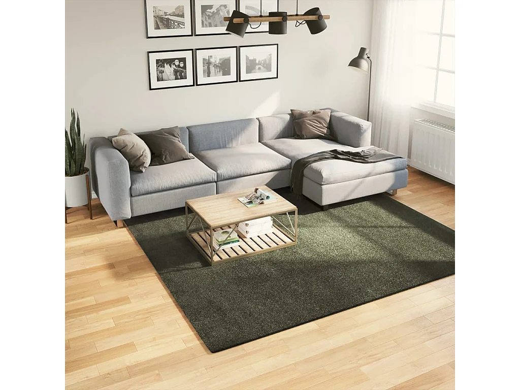 Hester  Tapis HUARTE à poils courts doux lavable vert forêt 240x240 cm