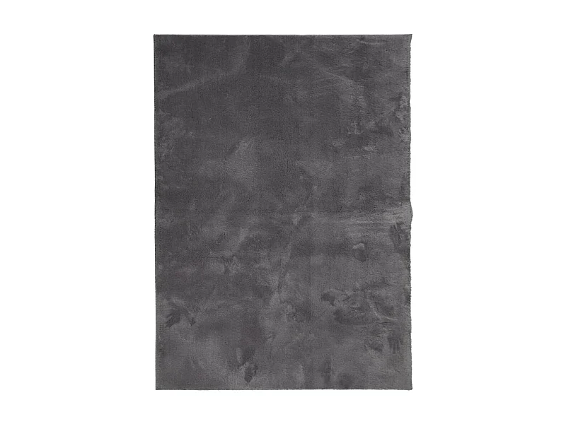 Hester  Tappeto Pelo Corto HUARTE Morbido Lavabile Antracite 140x200 cm