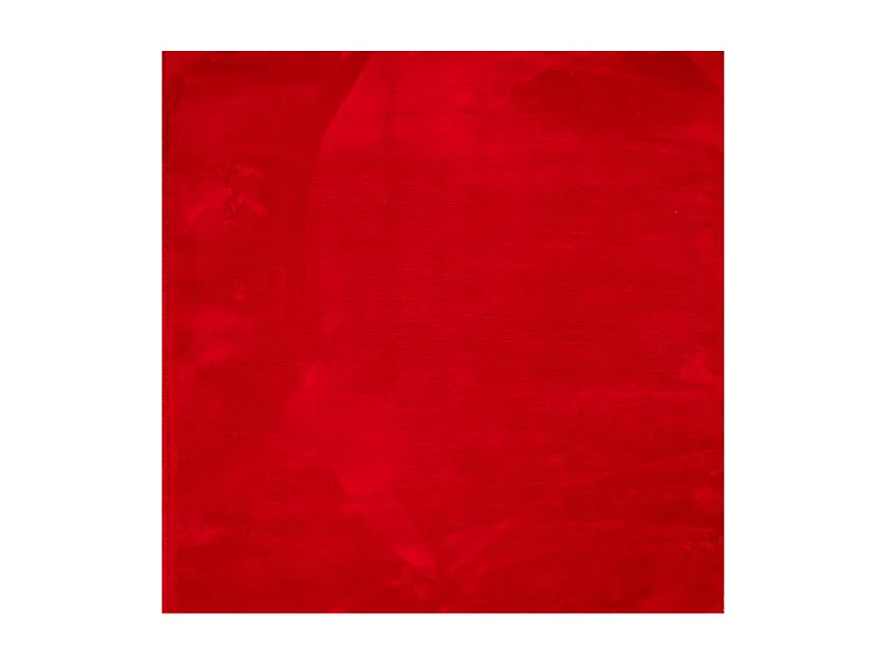 Hester  Vloerkleed HUARTE laagpolig zacht wasbaar 160x160 cm rood