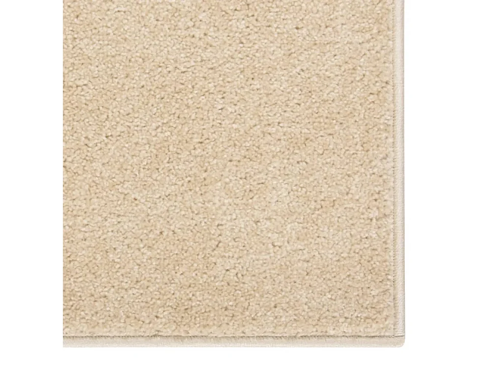 Phoebe  Vloerkleed kortpolig 80x150 cm beige