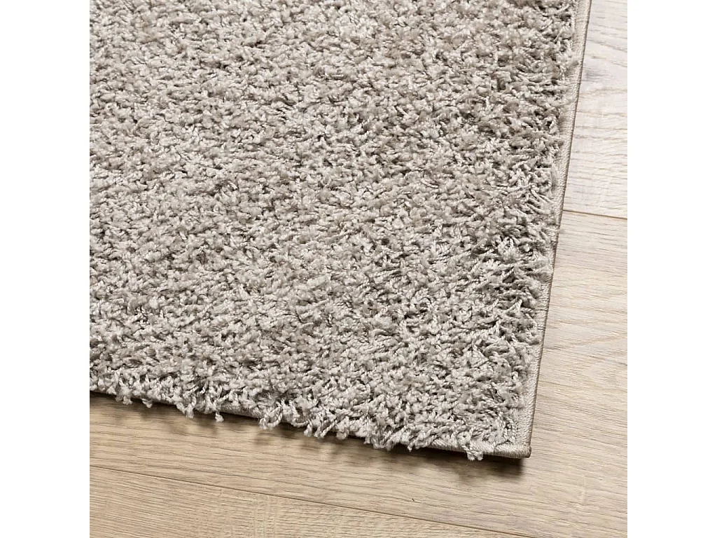 Vito  Alfombra peluda de pelo largo moderna PAMPLONA beige 160x160 cm