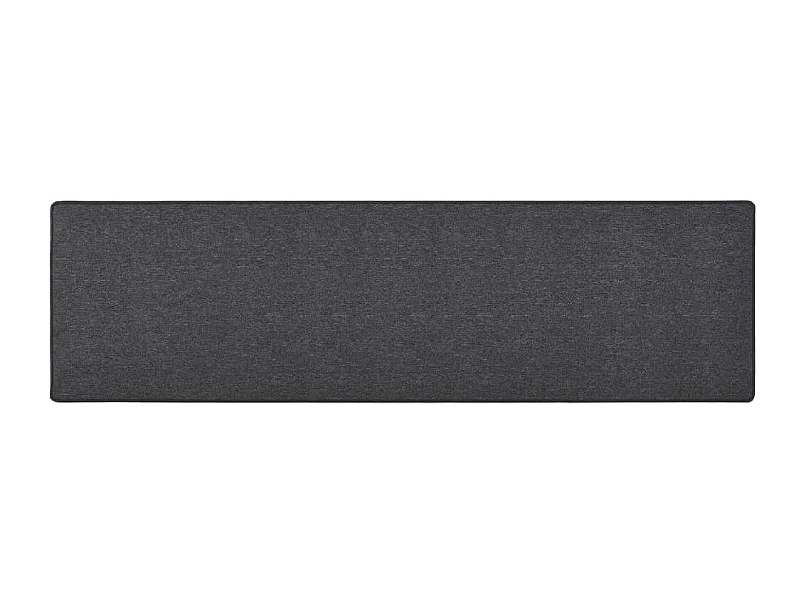 Pelle  Tapis de couloir Anthracite 50x200 cm
