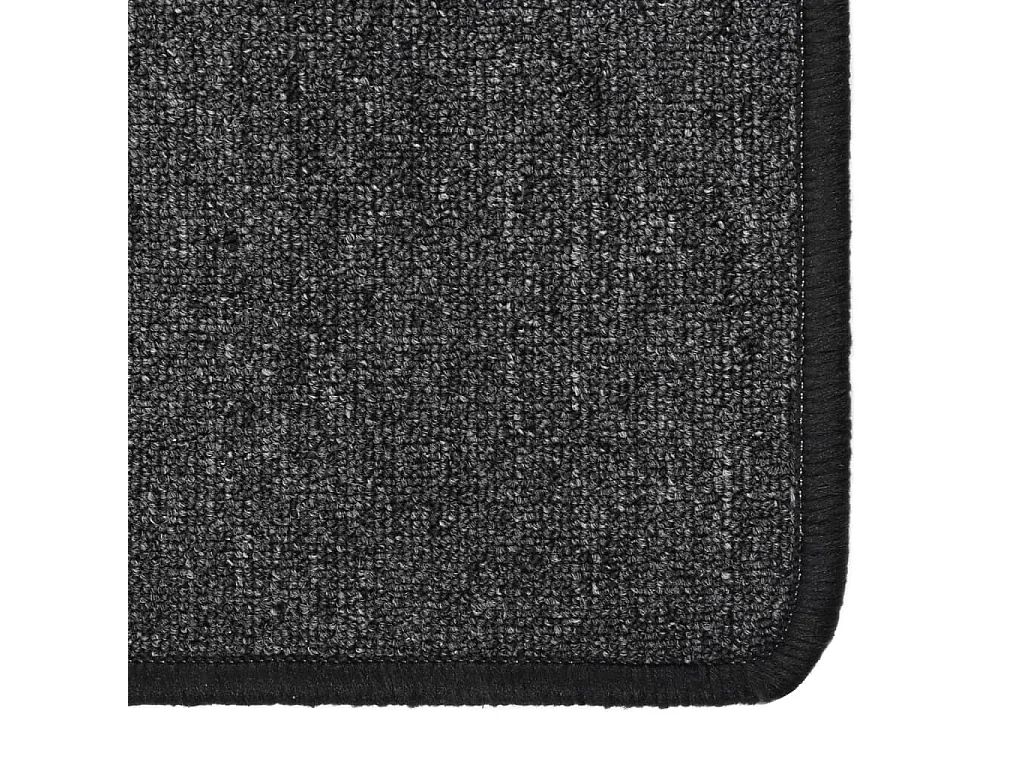 Pelle  Tapis de couloir Anthracite 50x200 cm