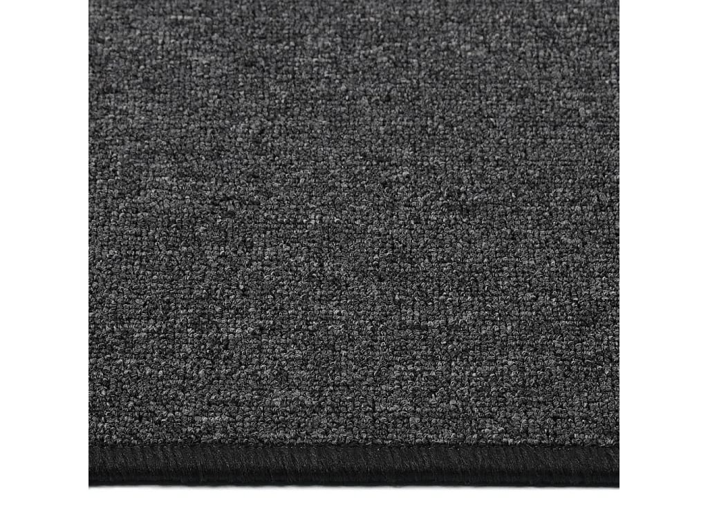 Pelle  Tapis de couloir Anthracite 50x200 cm