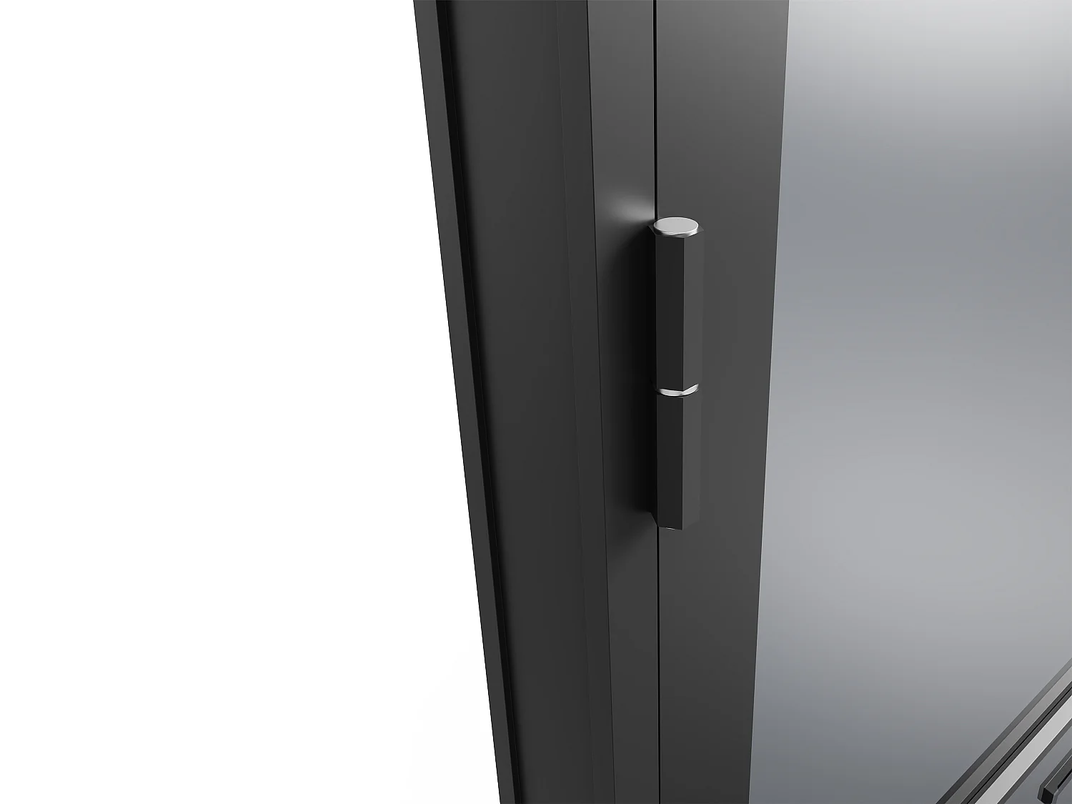 Bloc porte réversible en aluminium et verre trempé fumé - H204 x L73 cm - Noir - MASERU