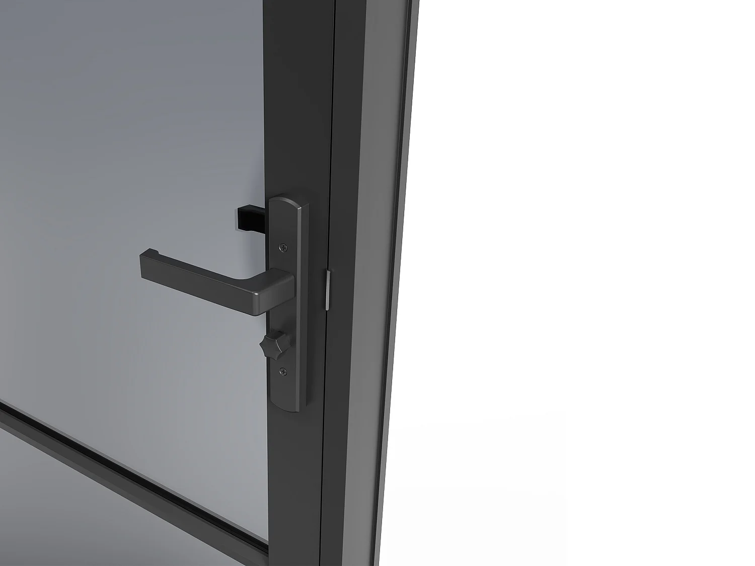 Bloc porte réversible en aluminium et verre trempé fumé - H204 x L93 cm - Noir - MASERU